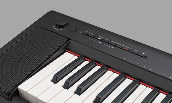 Yamaha on sale np32b piaggero