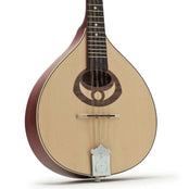 Ozark 2001 Mandolin