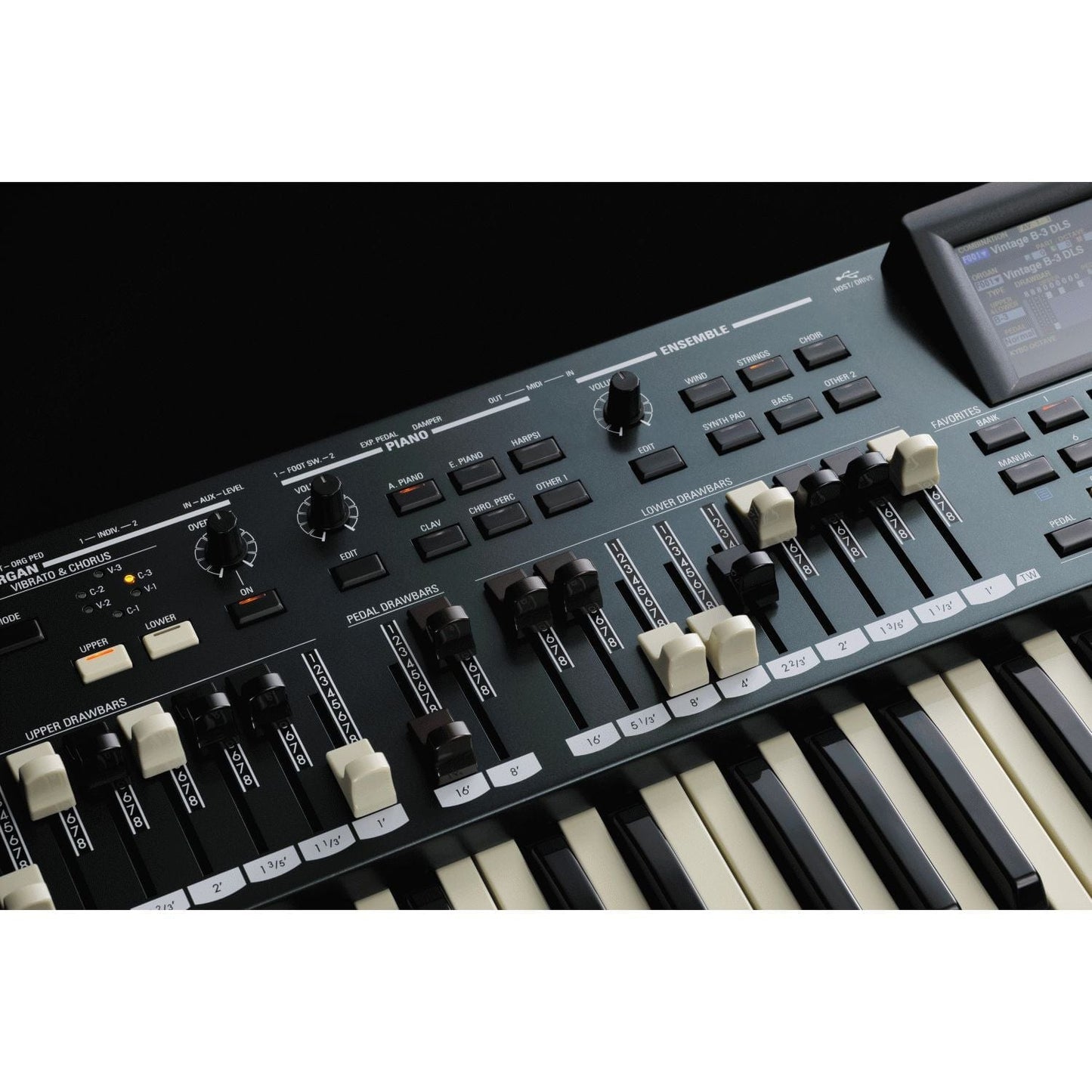 Hammond SKX Pro 61-Key Dual Manual Keyboard