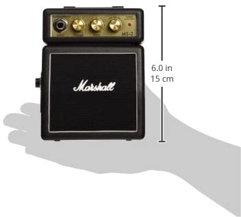 Ms2 deals micro amp