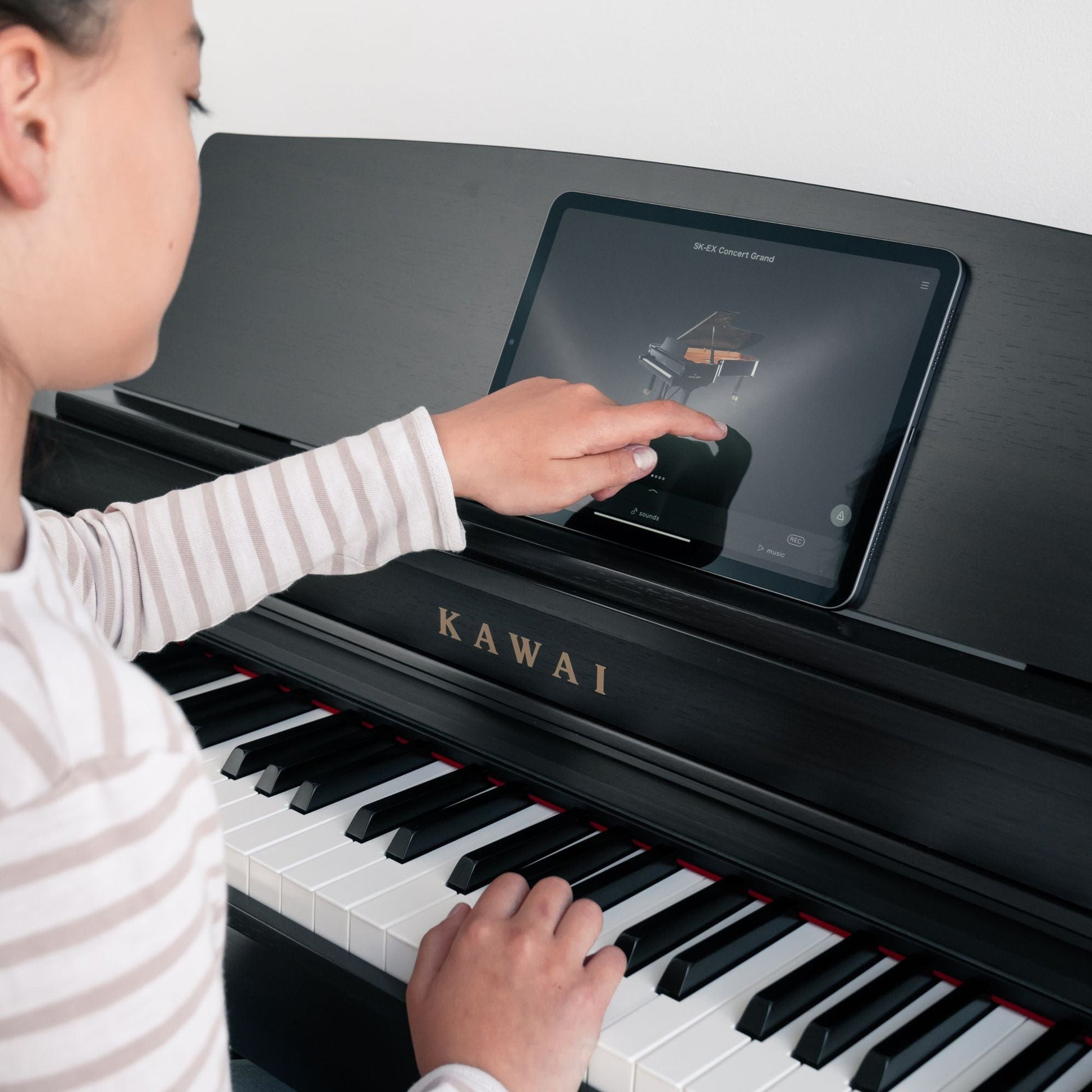 Kawai CN301 Digital Piano; Rosewood Value Package