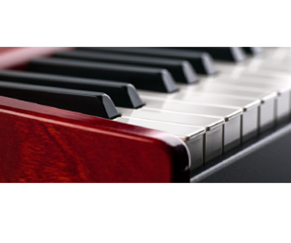 Nord Electro 6 HP 73 Note Hammer Action Portable Keyboard