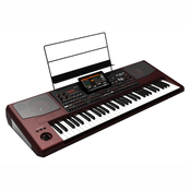 Korg PA1000 Professional Arranger Keyboard