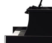 Yamaha N1x Digital Piano Value Package